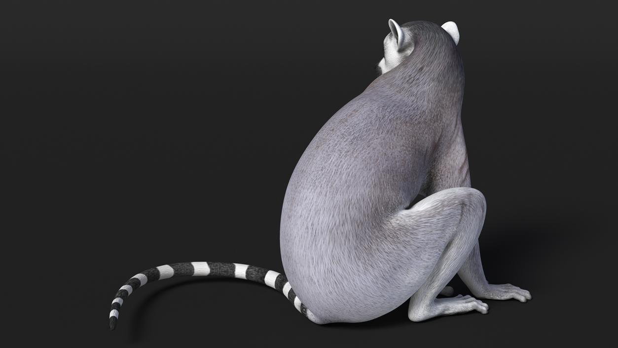 Lemur Rigged 3D