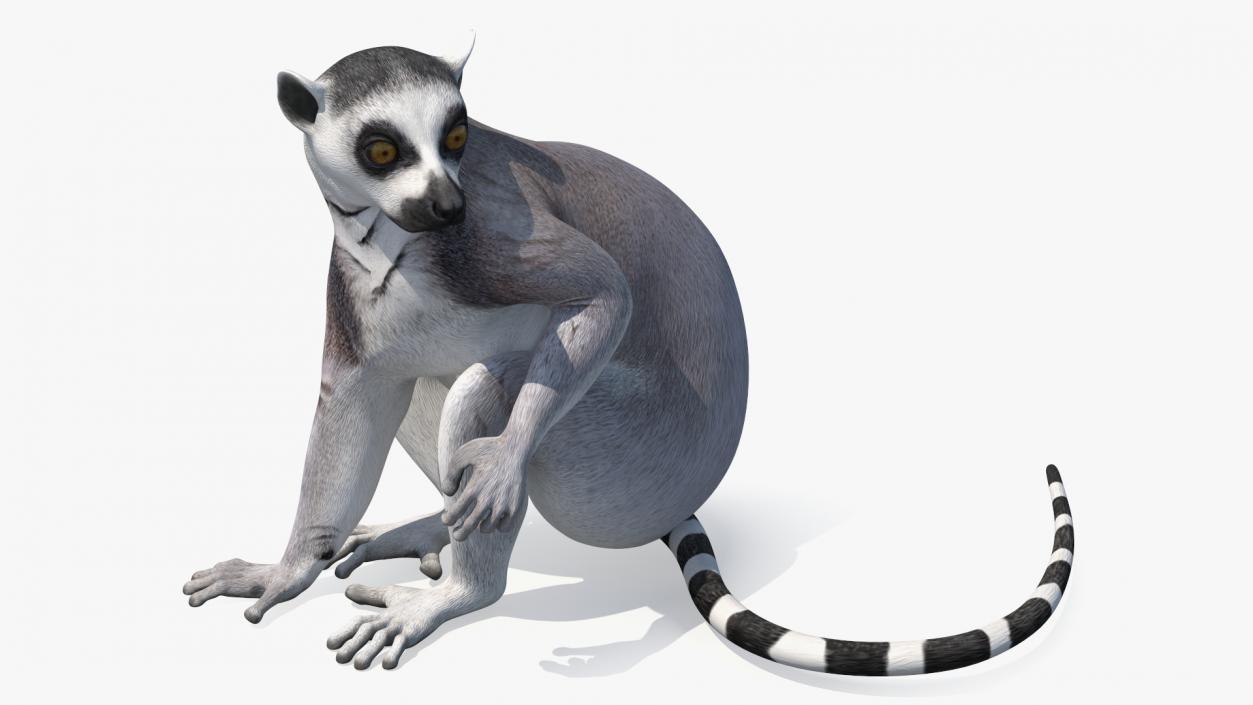 Lemur Rigged 3D