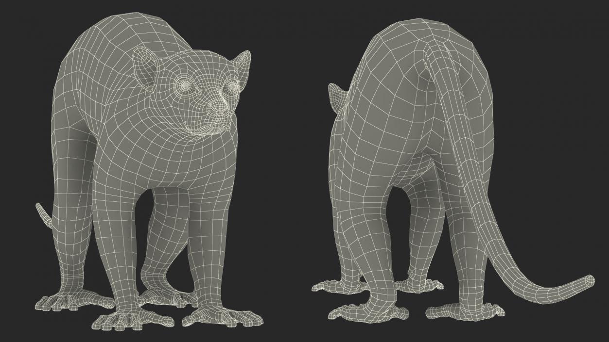 Lemur Rigged 3D