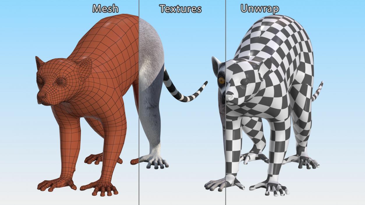 Lemur Rigged 3D