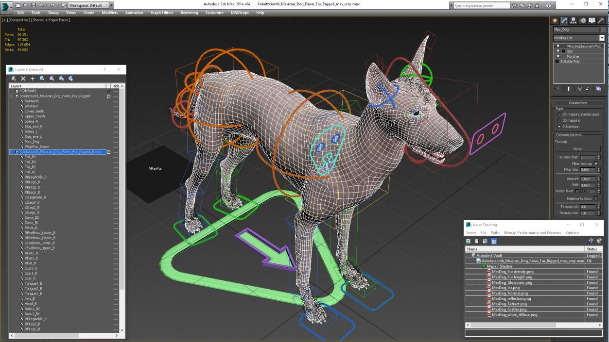 Xoloitzcuintli Mexican Dog Fawn Fur Rigged 3D