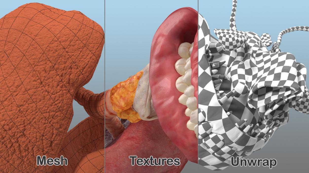 Human Full Respiratory System 3D model