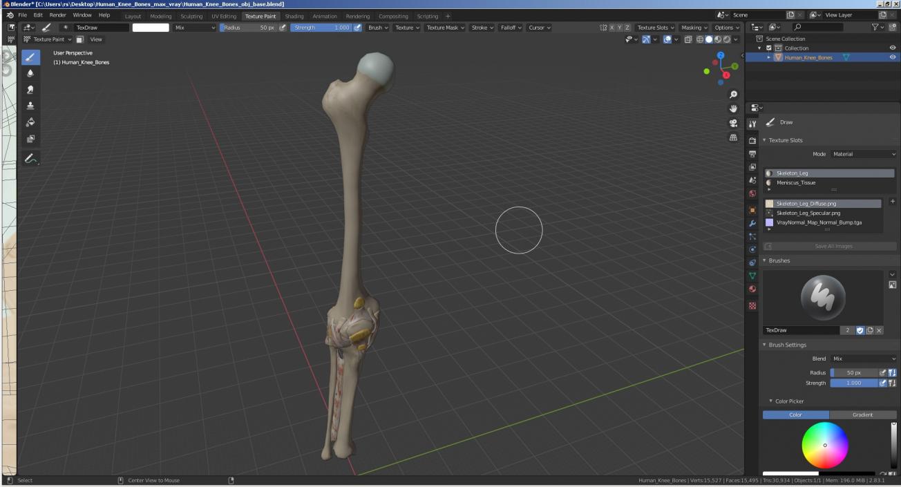 3D Human Knee Bones