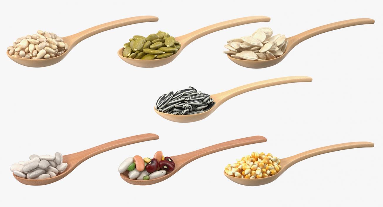 3D model Wooden Spoons with Seeds Collection