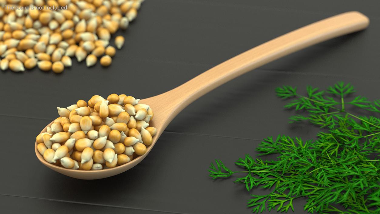 3D model Wooden Spoons with Seeds Collection