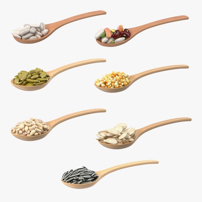 3D model Wooden Spoons with Seeds Collection