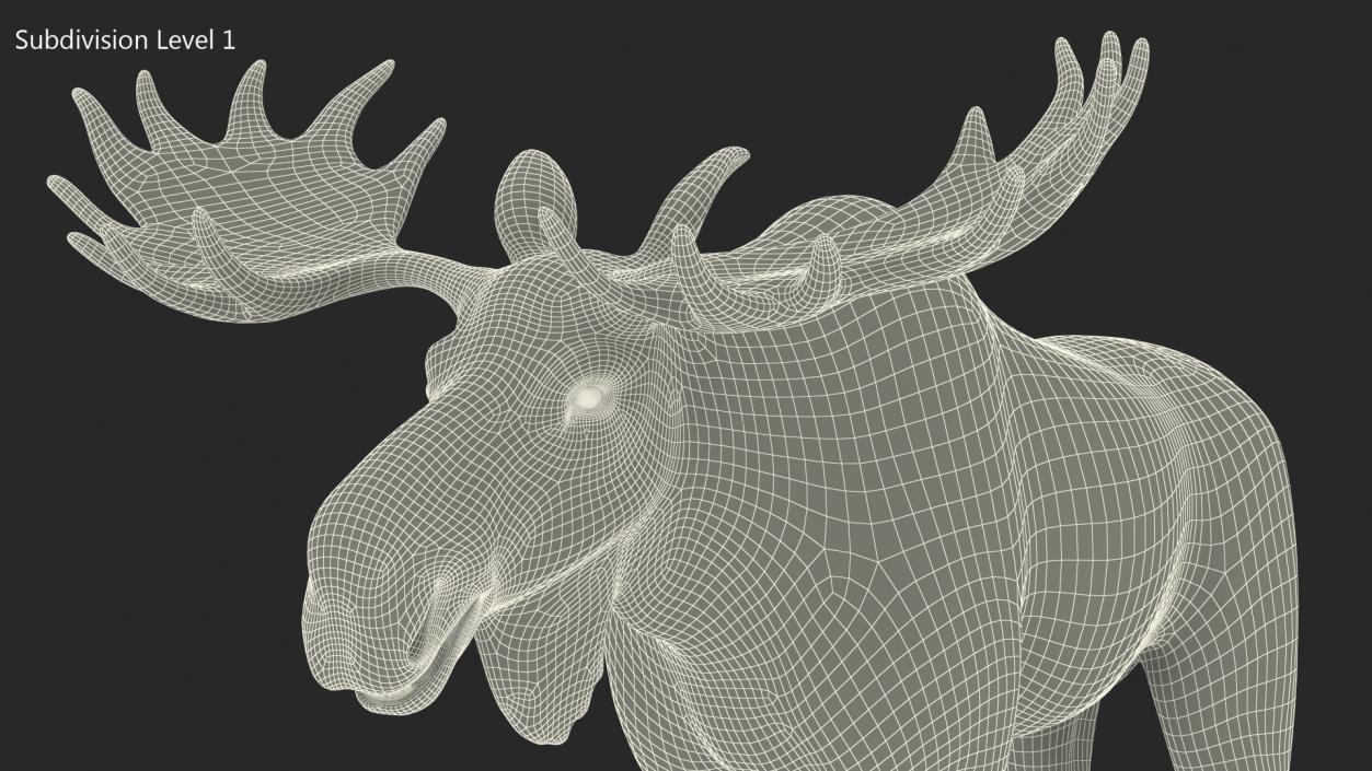 Moose No Fur 3D