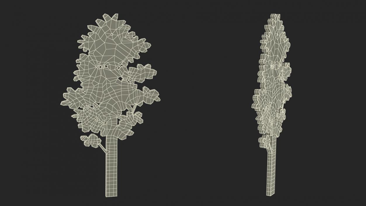 3D Plant Silhouettes Collection model