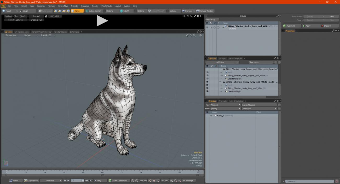 Sitting Siberian Husky Gray and White 3D