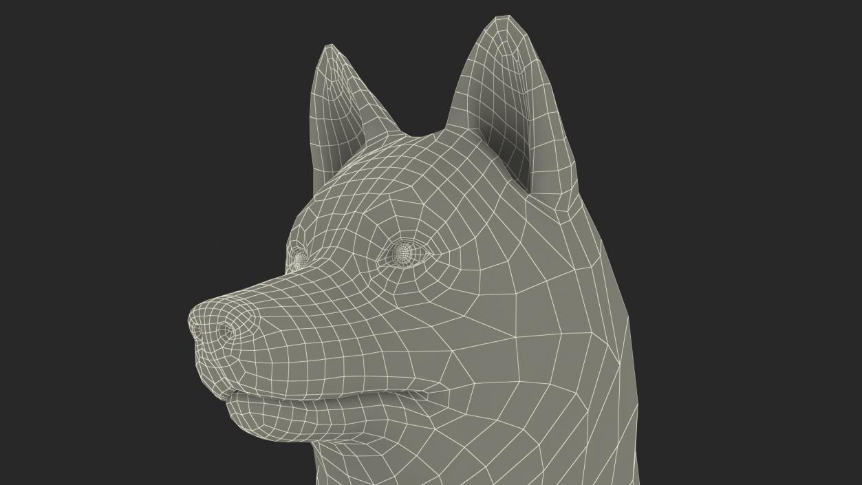 Sitting Siberian Husky Gray and White 3D