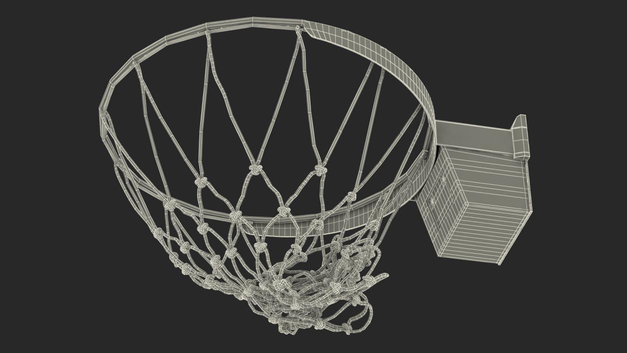 3D Animated Basketball Falls Through Hoop model