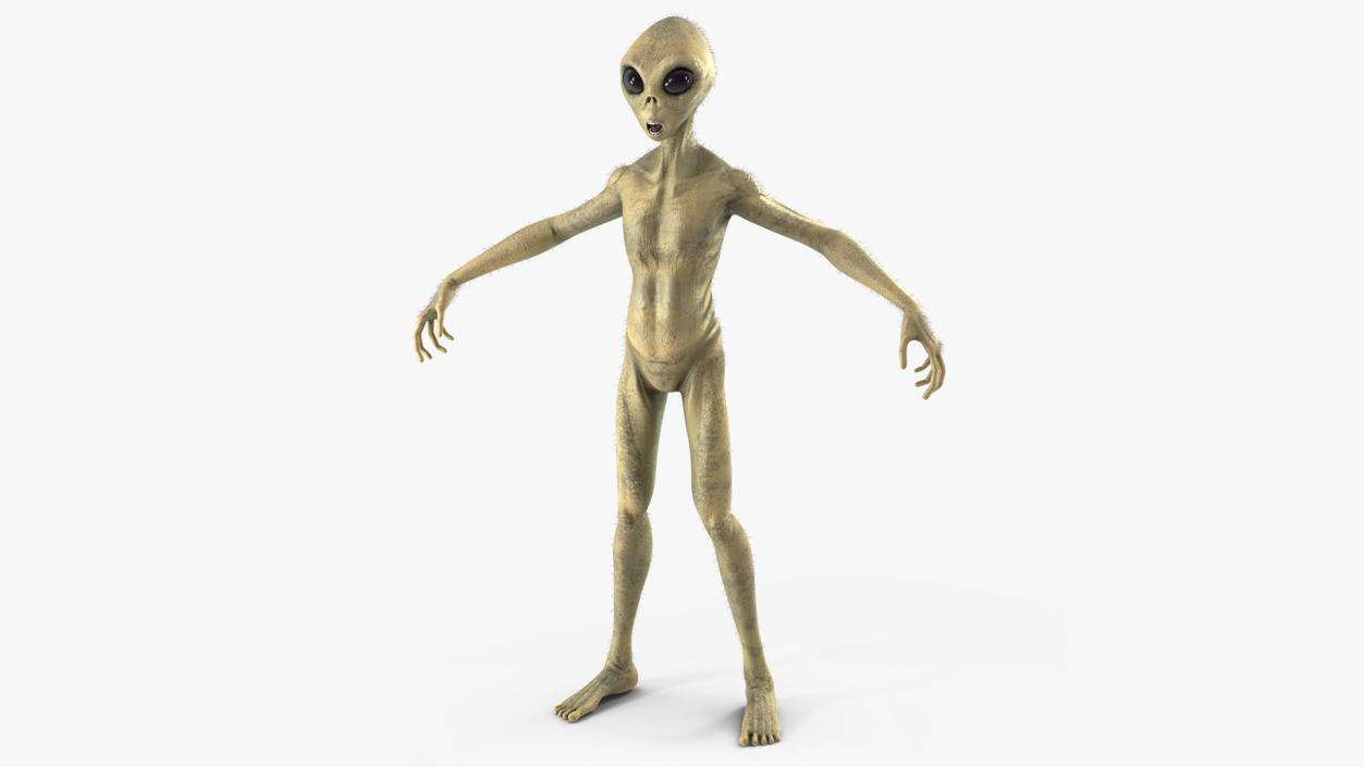 Humanoid Alien Creature Fur 3D