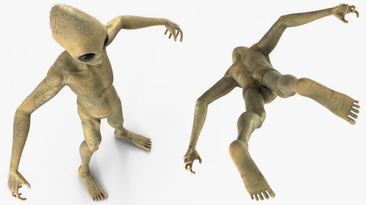 Humanoid Alien Creature Fur 3D