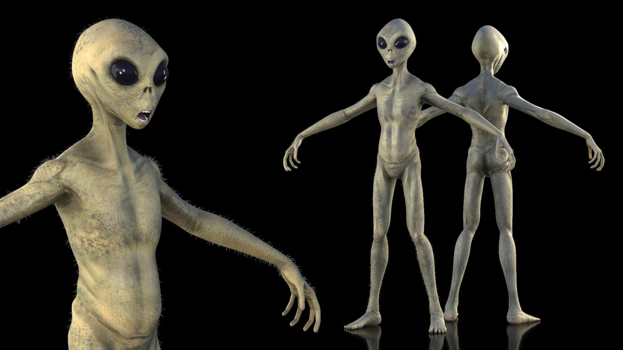 Humanoid Alien Creature Fur 3D