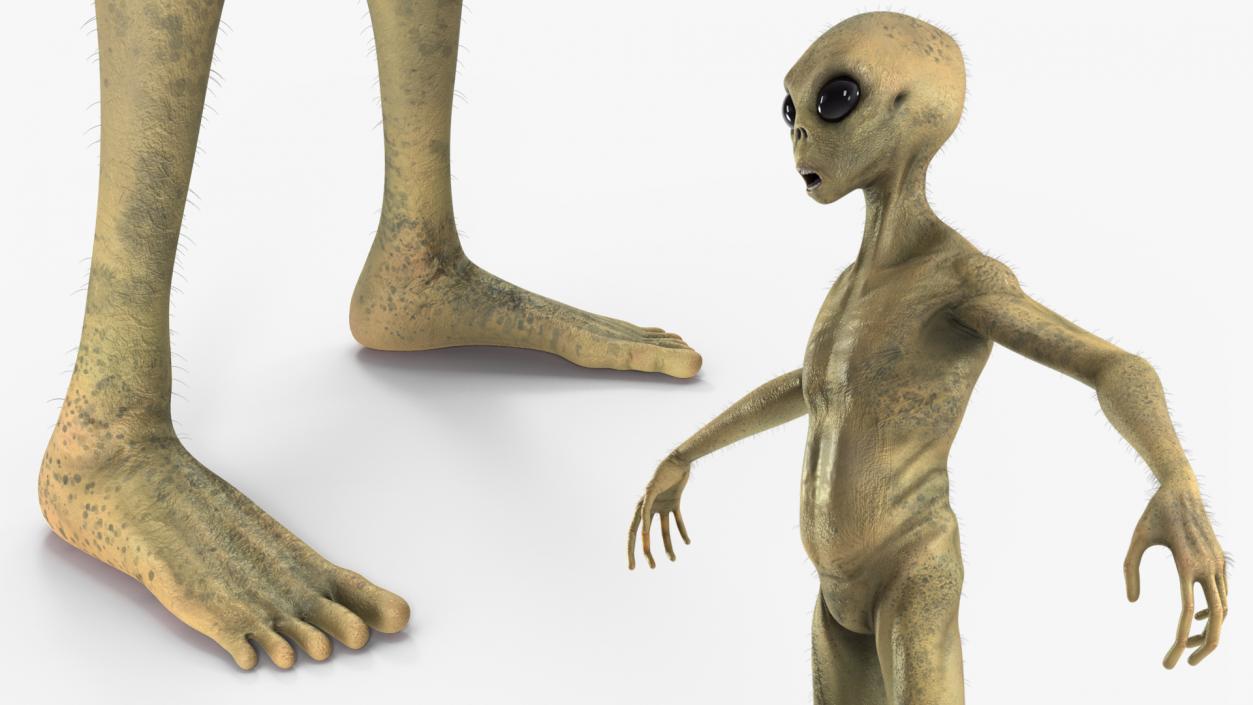 Humanoid Alien Creature Fur 3D