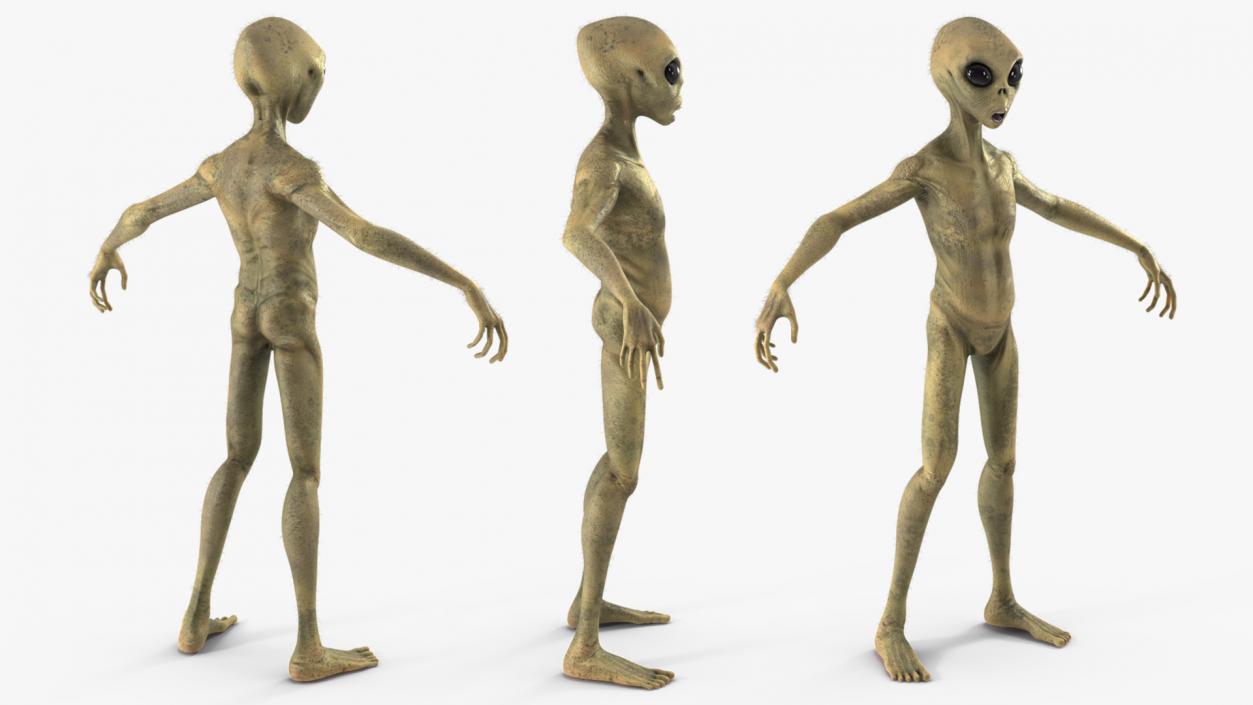 Humanoid Alien Creature Fur 3D