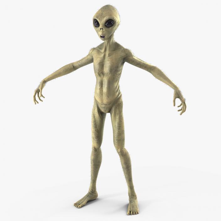 Humanoid Alien Creature Fur 3D