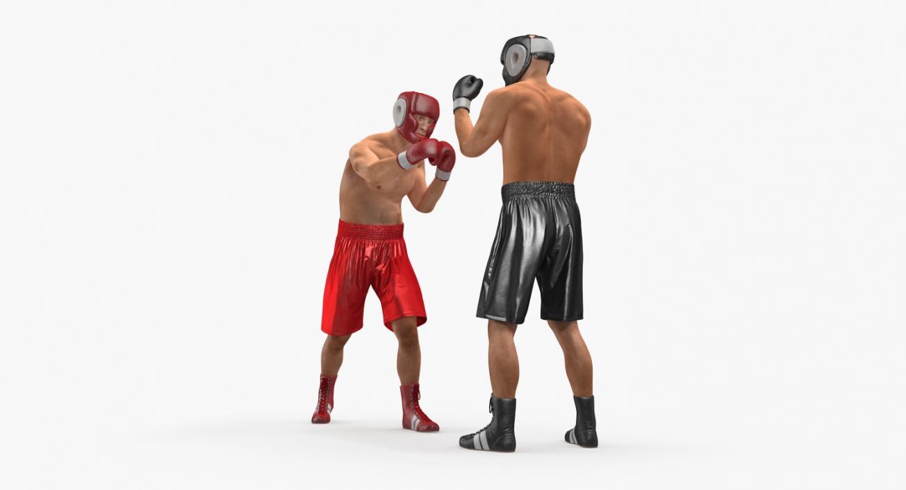 Two Boxers Fighting 3D model