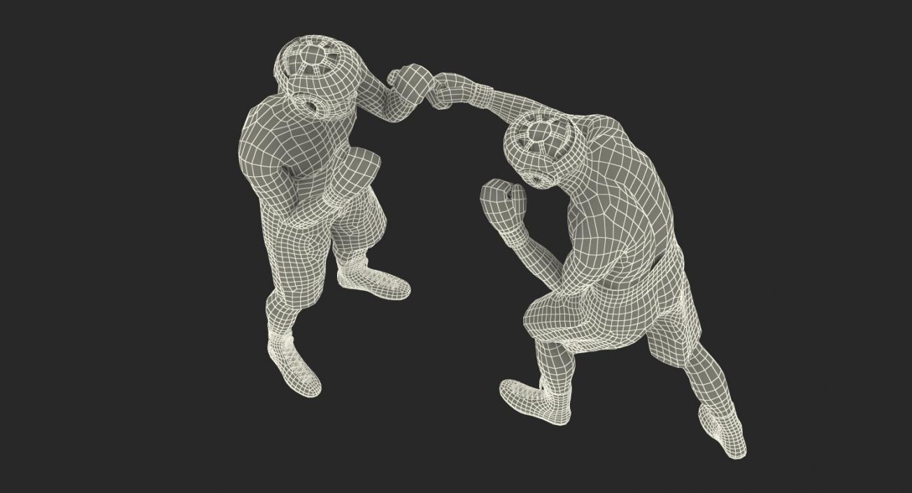 Two Boxers Fighting 3D model