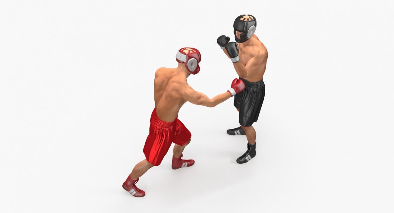 Two Boxers Fighting 3D model