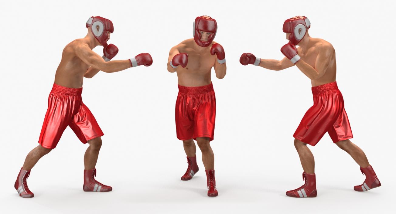 Two Boxers Fighting 3D model