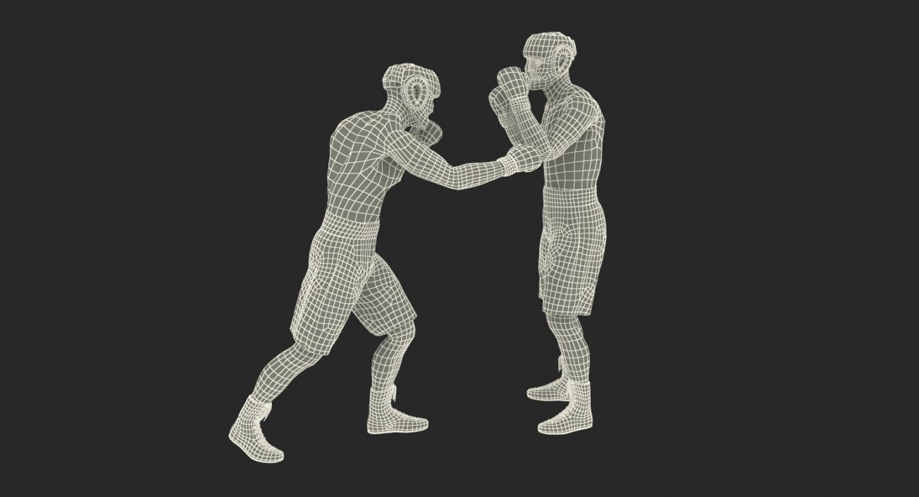 Two Boxers Fighting 3D model