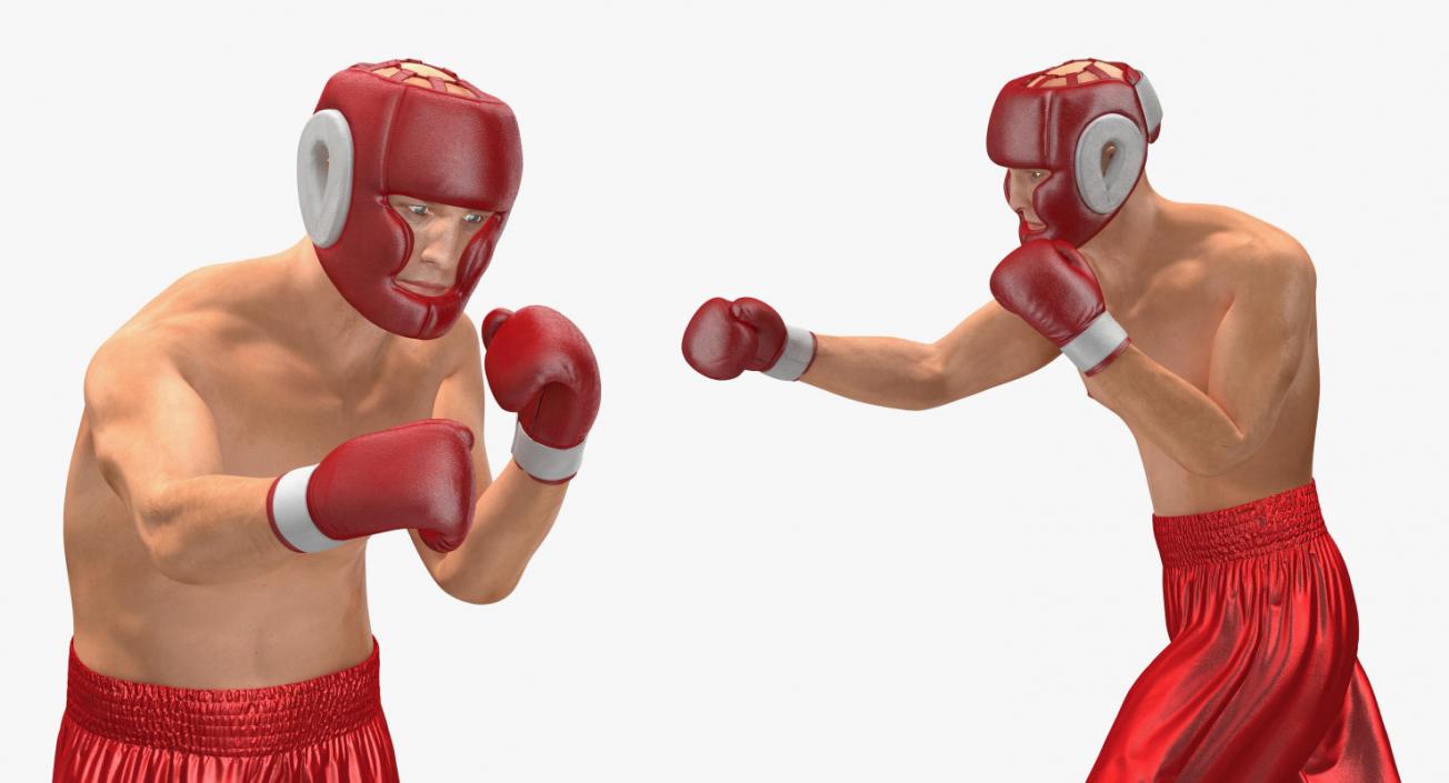 Two Boxers Fighting 3D model