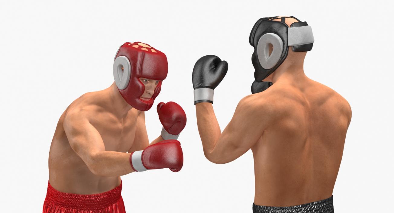 Two Boxers Fighting 3D model