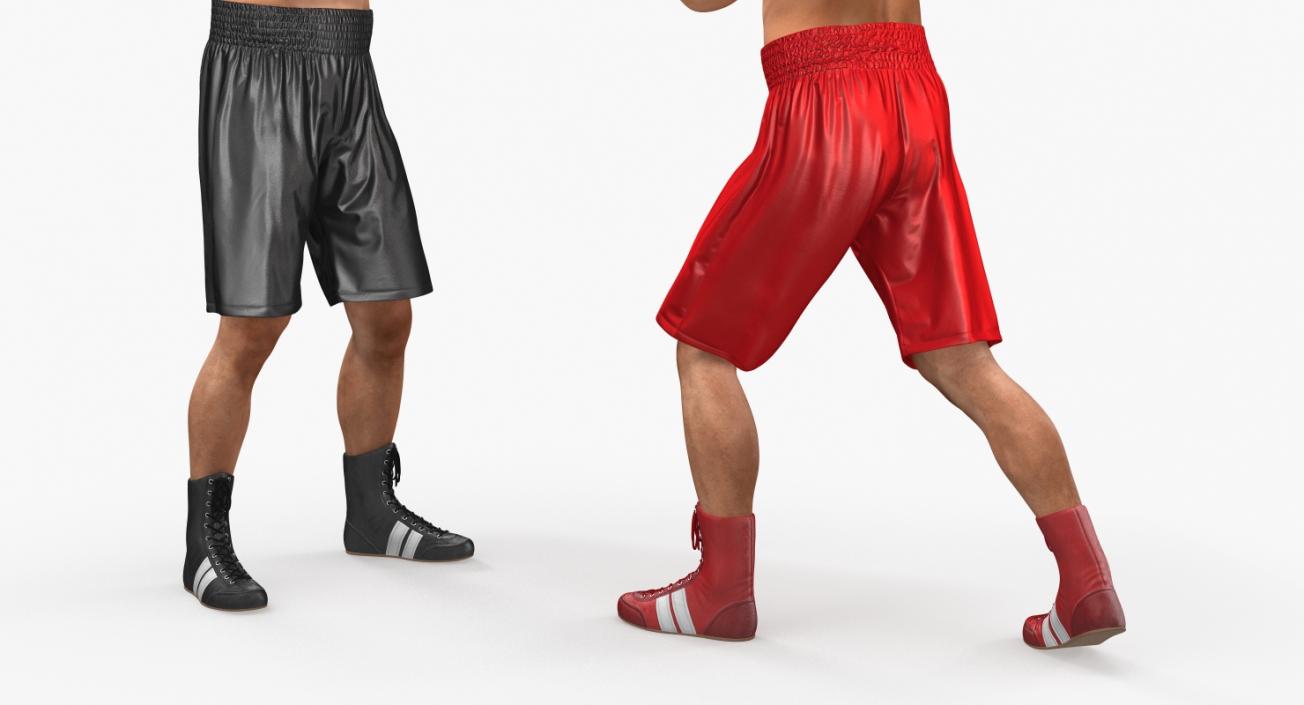 Two Boxers Fighting 3D model