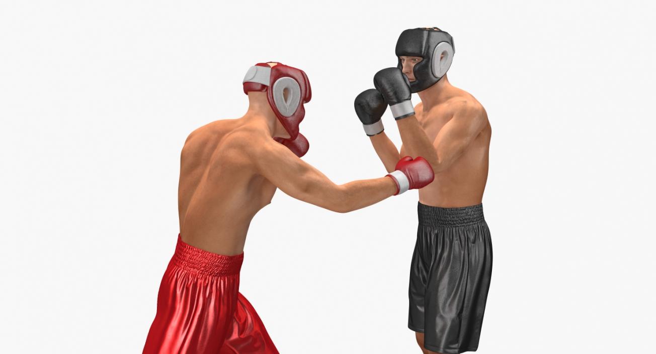 Two Boxers Fighting 3D model