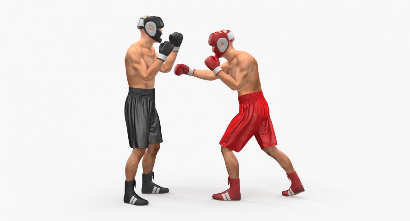 Two Boxers Fighting 3D model