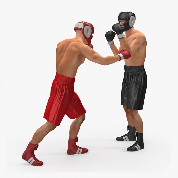 Two Boxers Fighting 3D model