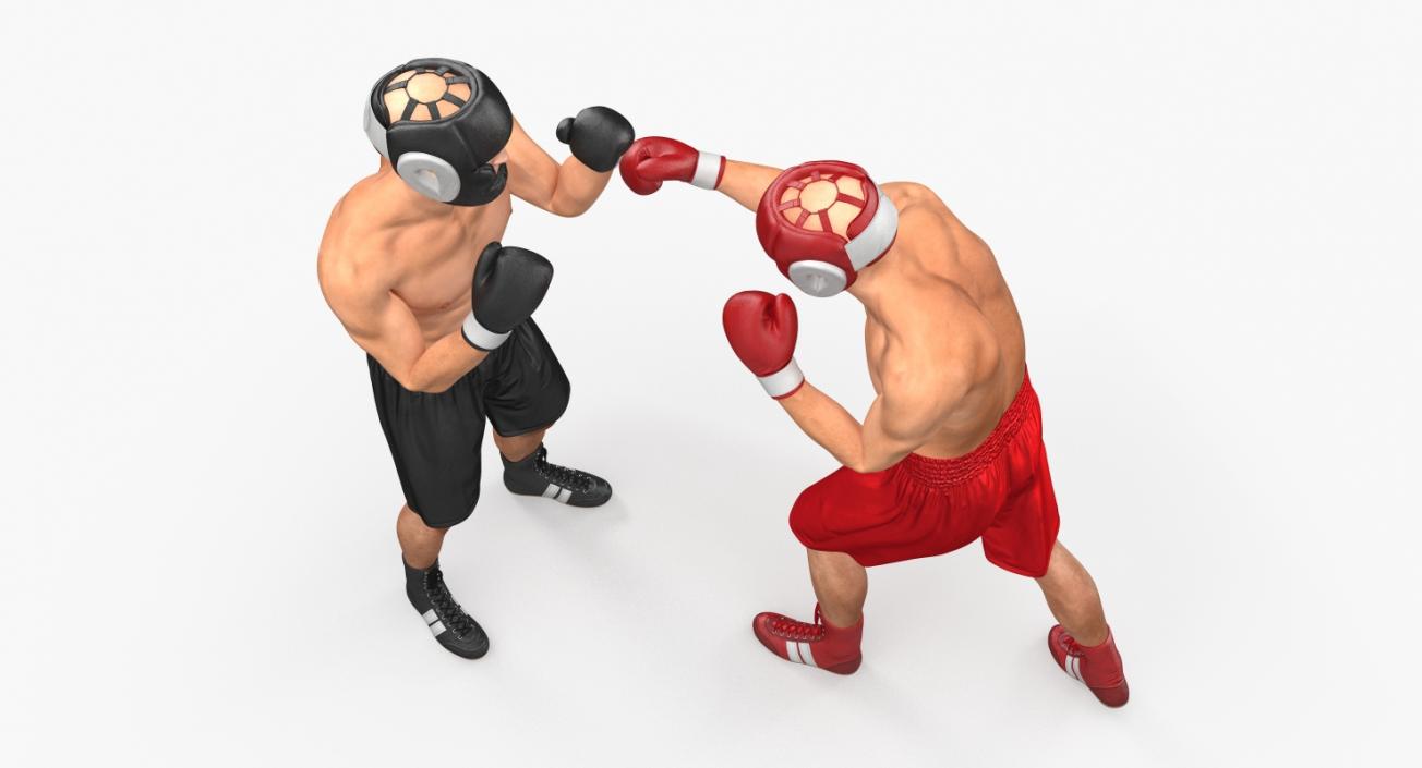 Two Boxers Fighting 3D model