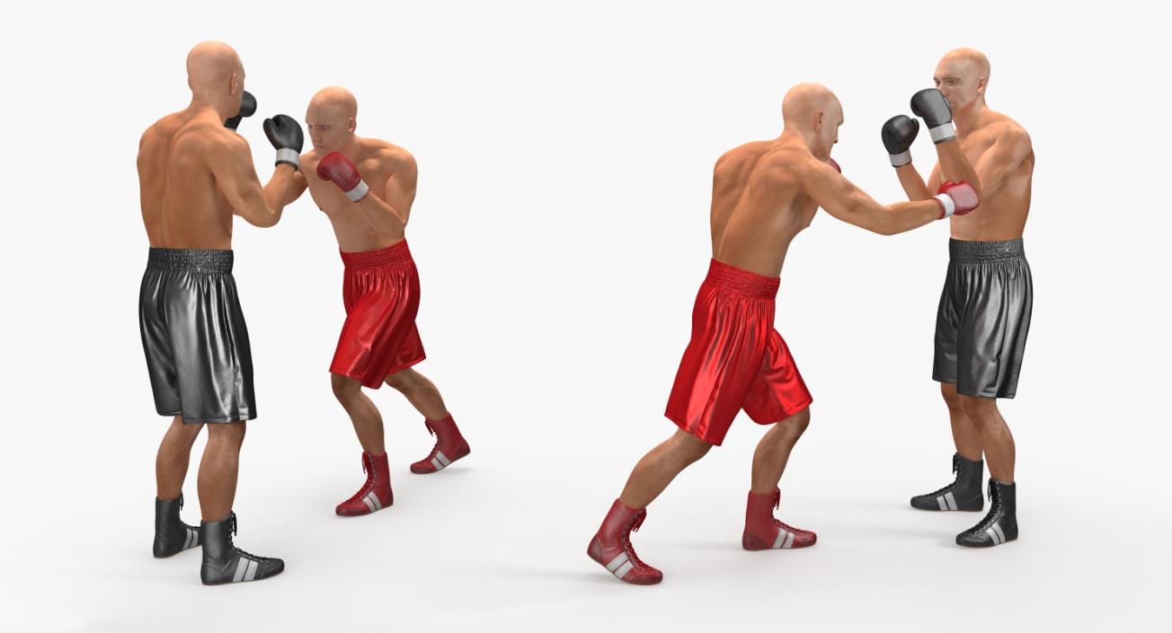 Two Boxers Fighting 3D model