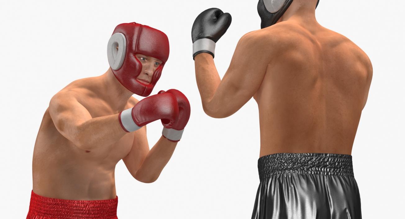 Two Boxers Fighting 3D model