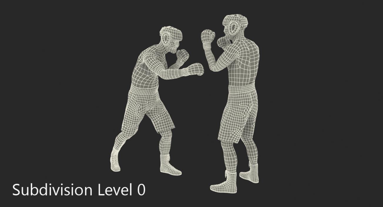 Two Boxers Fighting 3D model