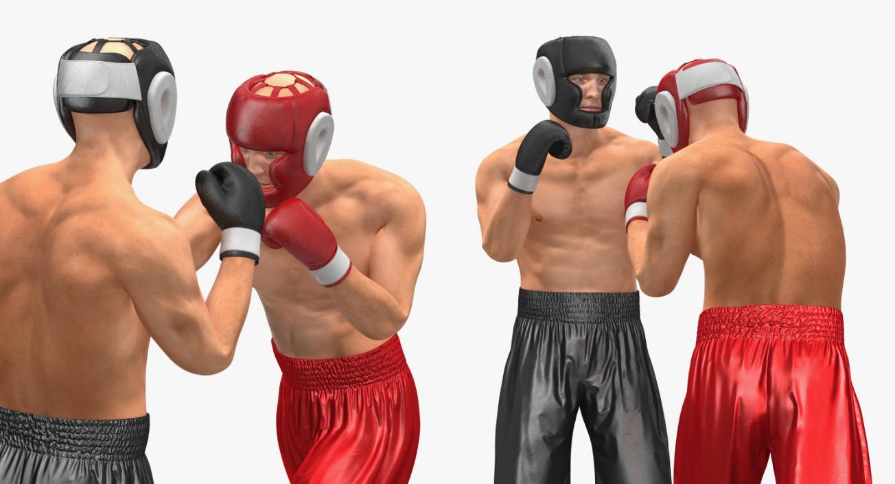 Two Boxers Fighting 3D model