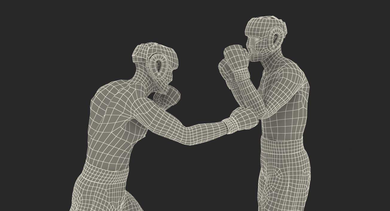 Two Boxers Fighting 3D model