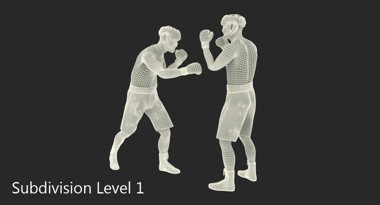 Two Boxers Fighting 3D model