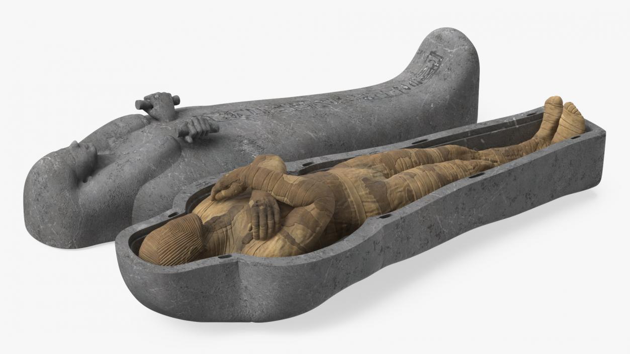 3D Mummy in the Sarcophagus 2