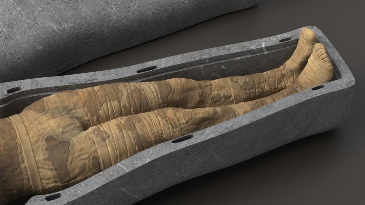 3D Mummy in the Sarcophagus 2