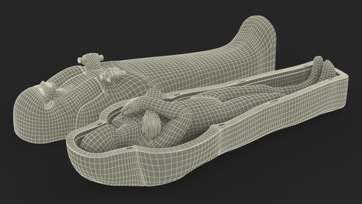 3D Mummy in the Sarcophagus 2