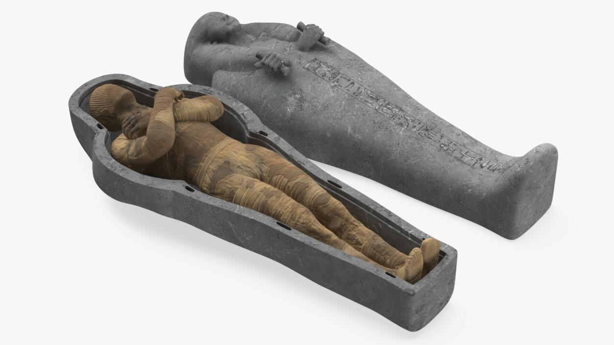 3D Mummy in the Sarcophagus 2