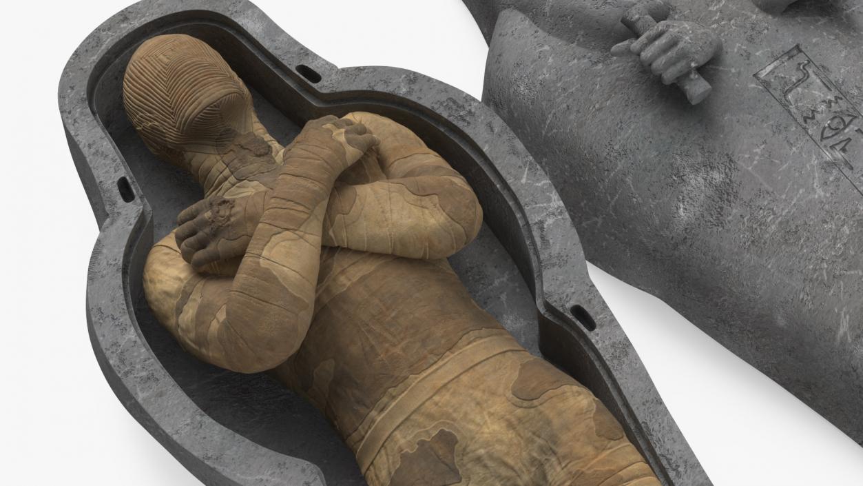 3D Mummy in the Sarcophagus 2