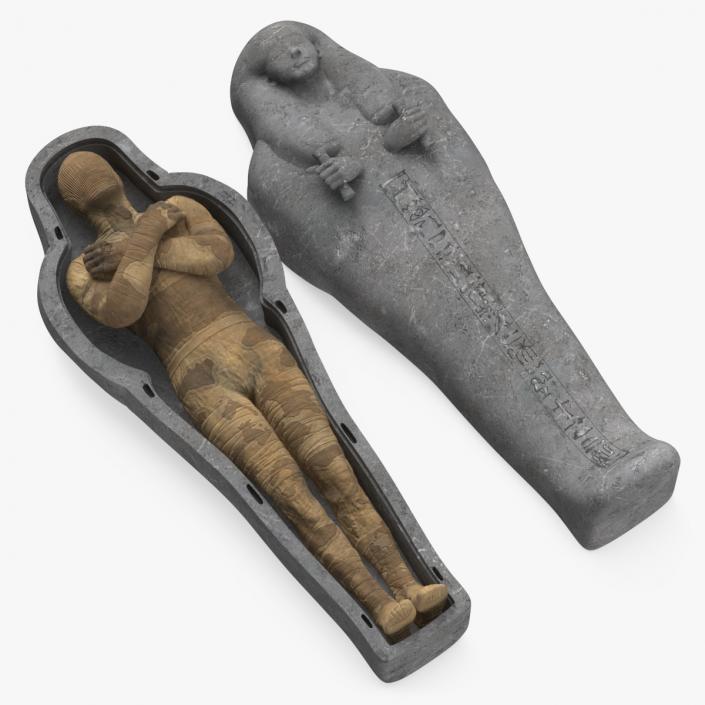 3D Mummy in the Sarcophagus 2