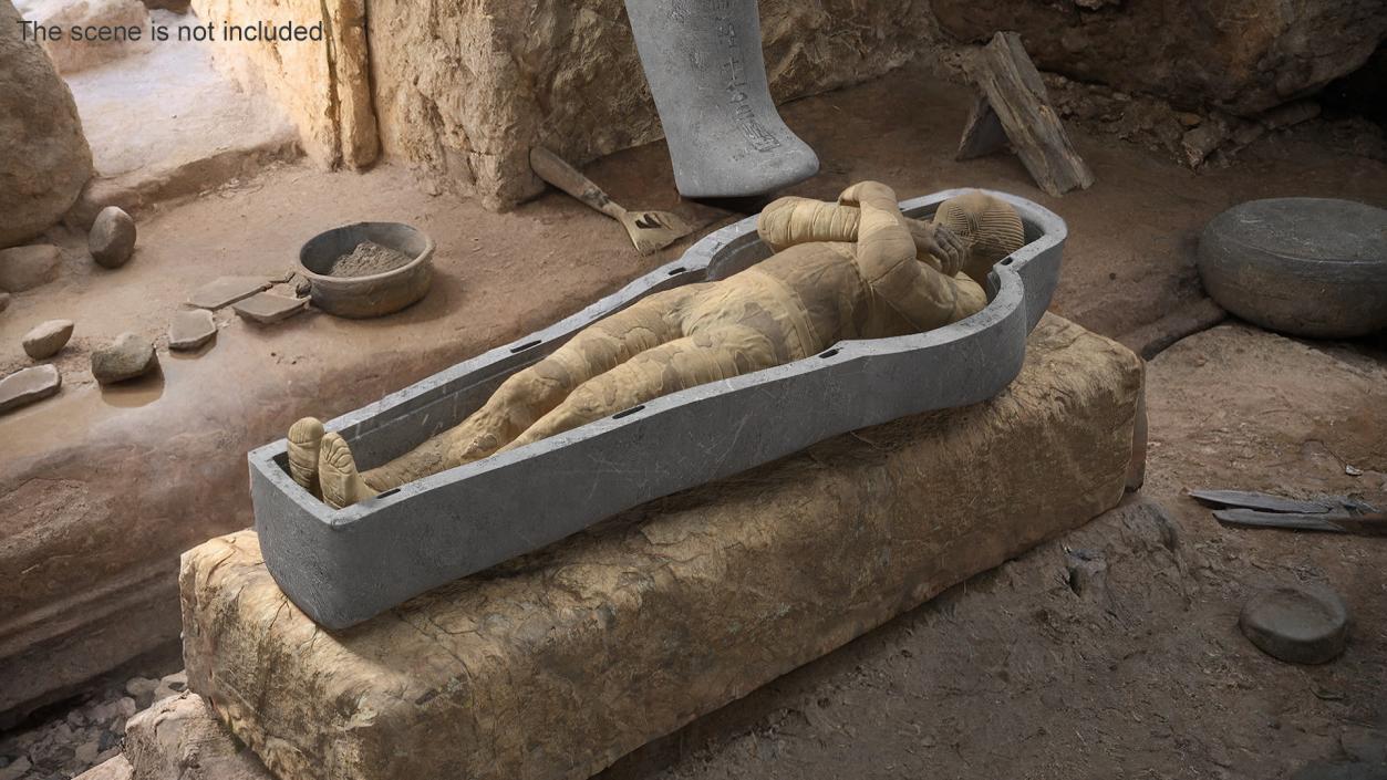 3D Mummy in the Sarcophagus 2