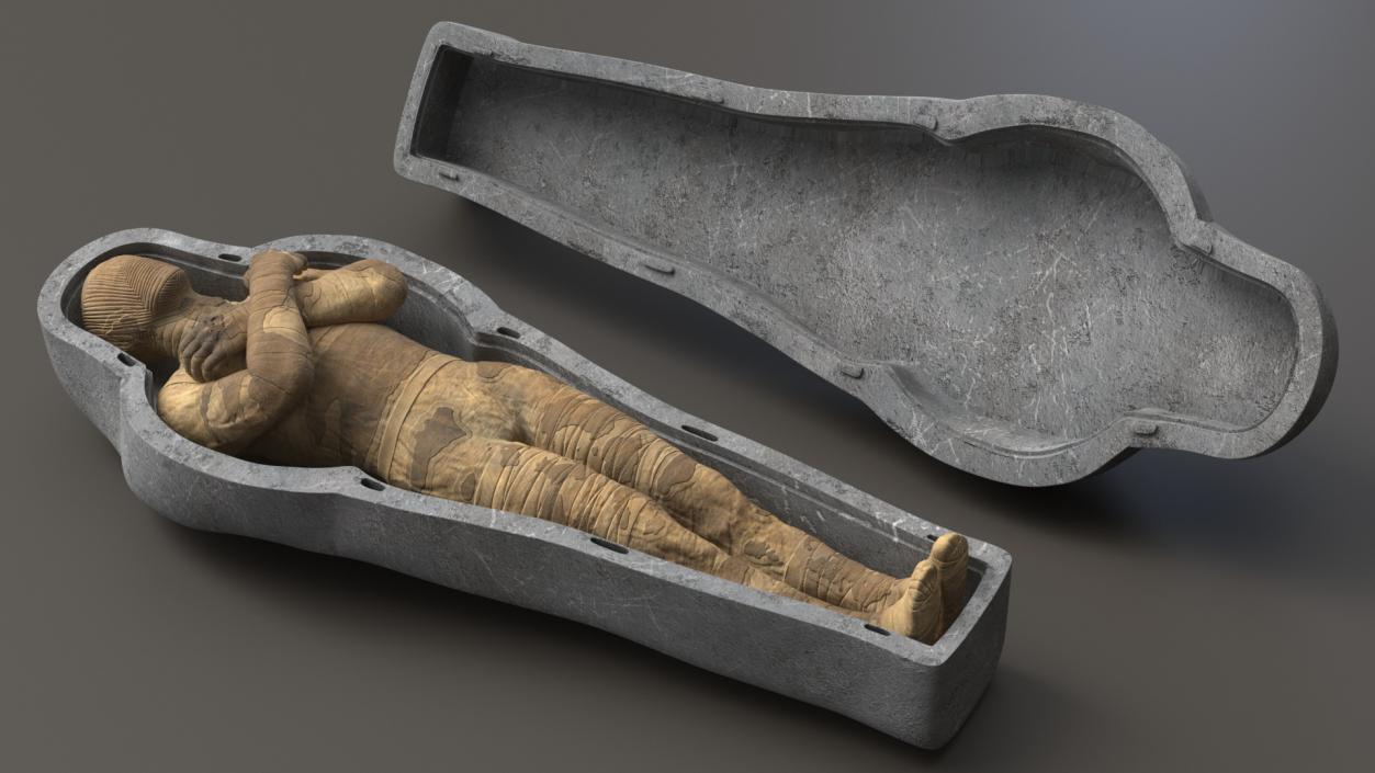 3D Mummy in the Sarcophagus 2