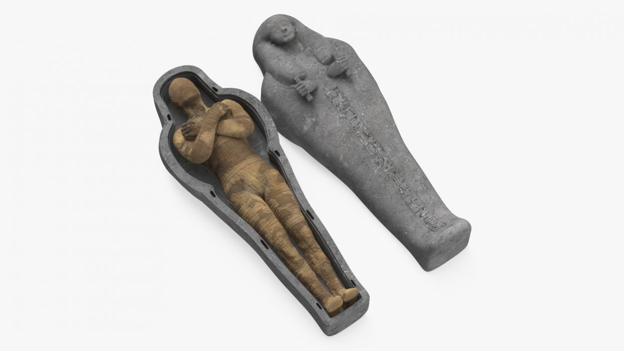 3D Mummy in the Sarcophagus 2