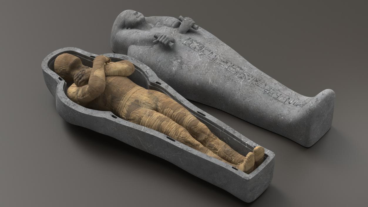 3D Mummy in the Sarcophagus 2