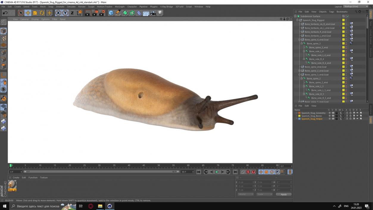 3D Spanish Slug Rigged for Cinema 4D model